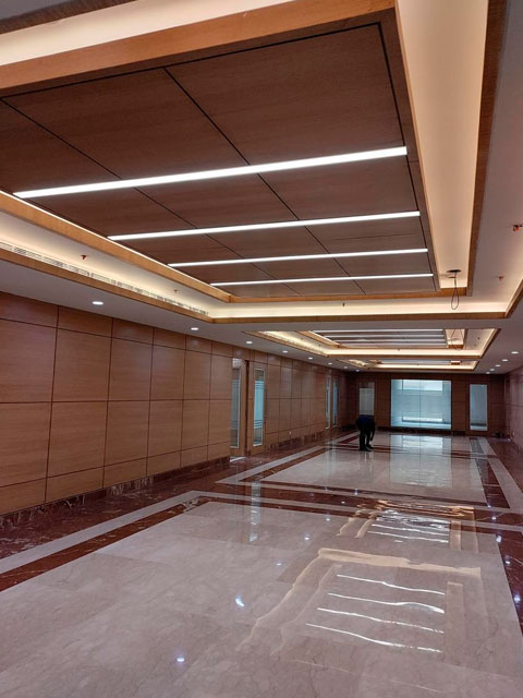 Delhi High Court Ceilings Partition Polish Paint Work